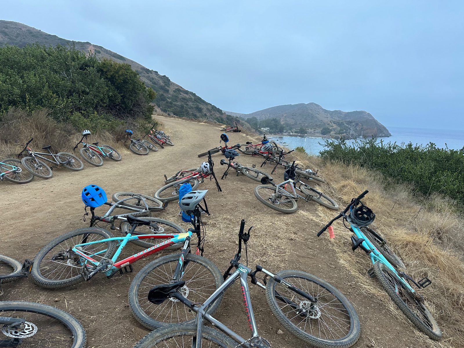 Mountain bikes on a trail above the ocean on Catalina Island